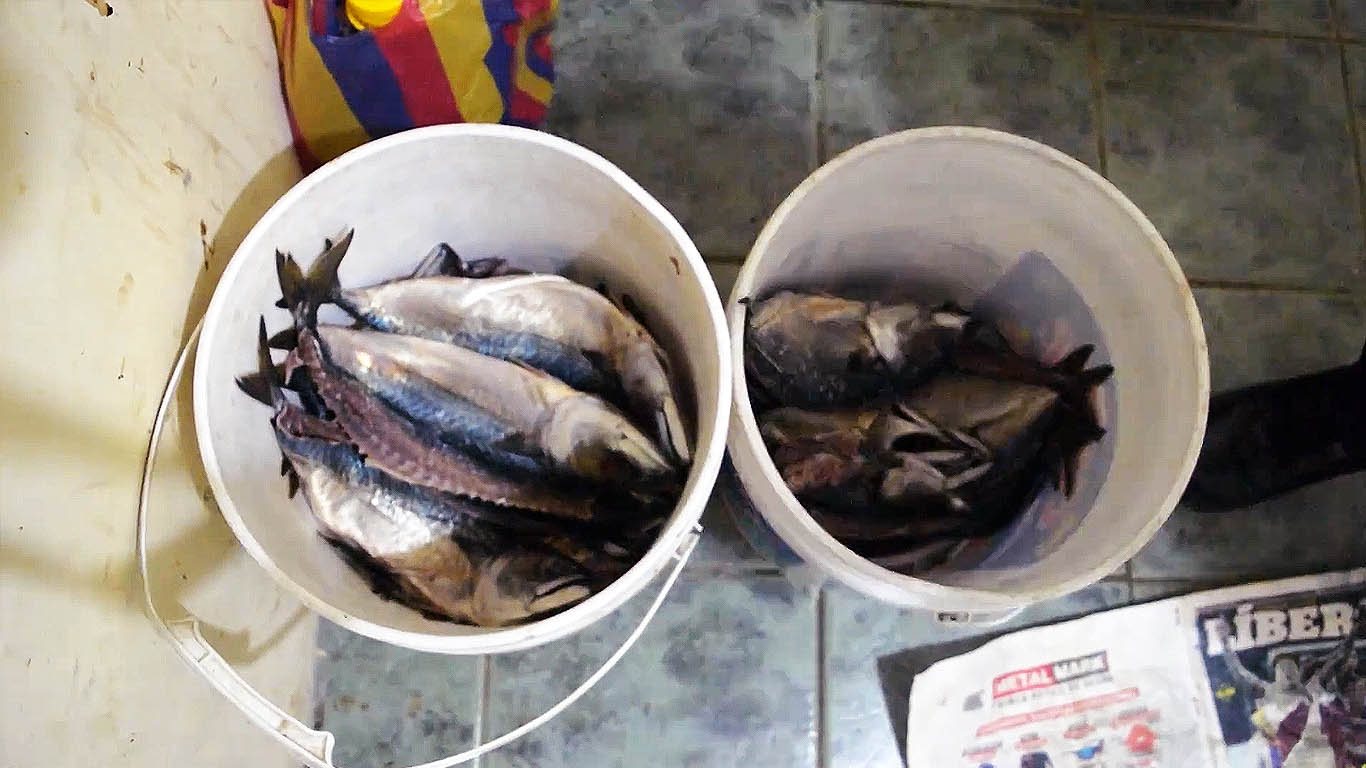 Decomiso de alimentos y licor Decomiso de alimentos y licor