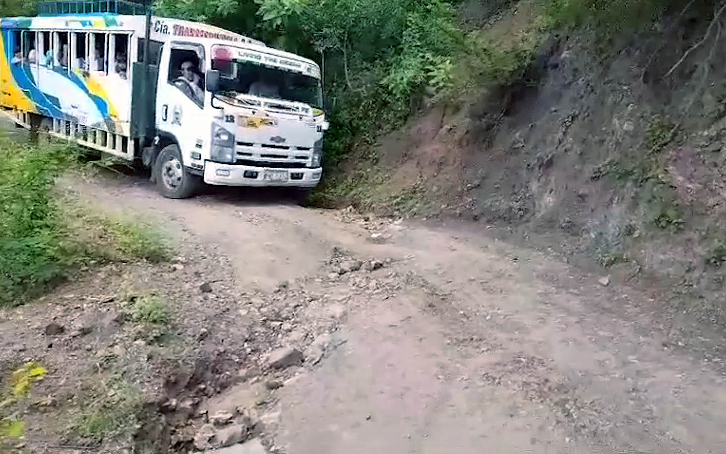 video Transespíndola